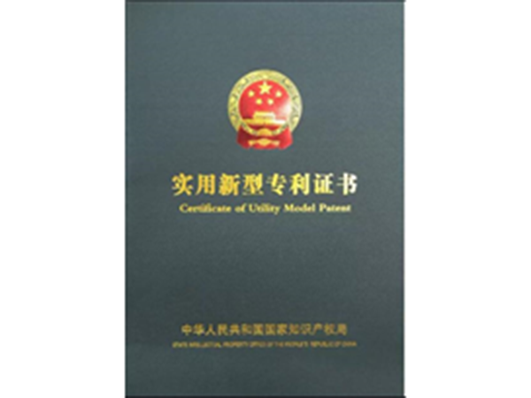 专利